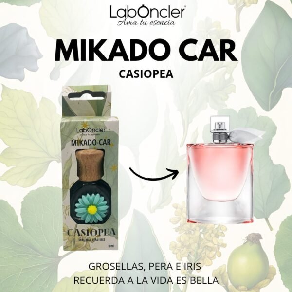 AMBIENTADOR COCHE LABONCLER - Imagen 8