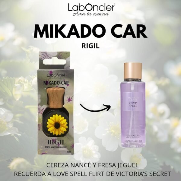 AMBIENTADOR COCHE LABONCLER - Imagen 5
